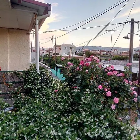 Apartamento Cozy House 3 *