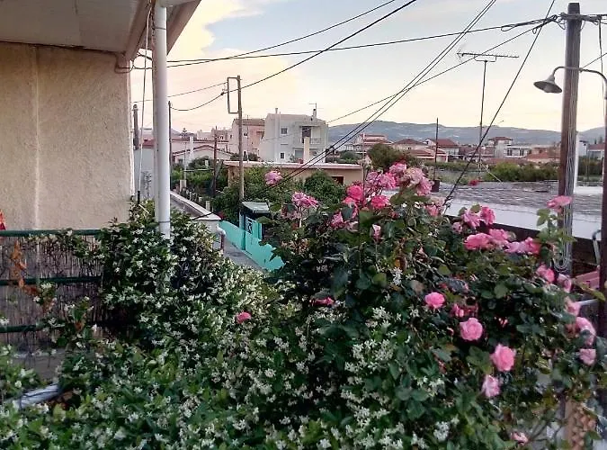 Apartmán Cozy House 3 *